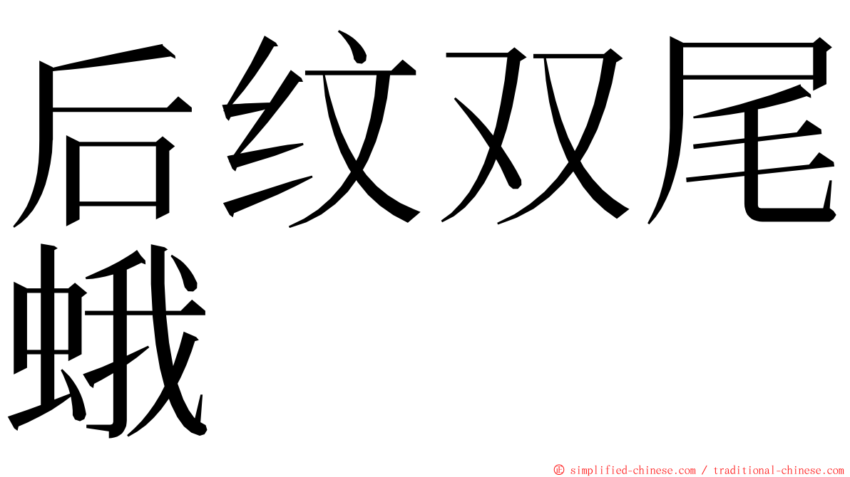 后纹双尾蛾 ming font