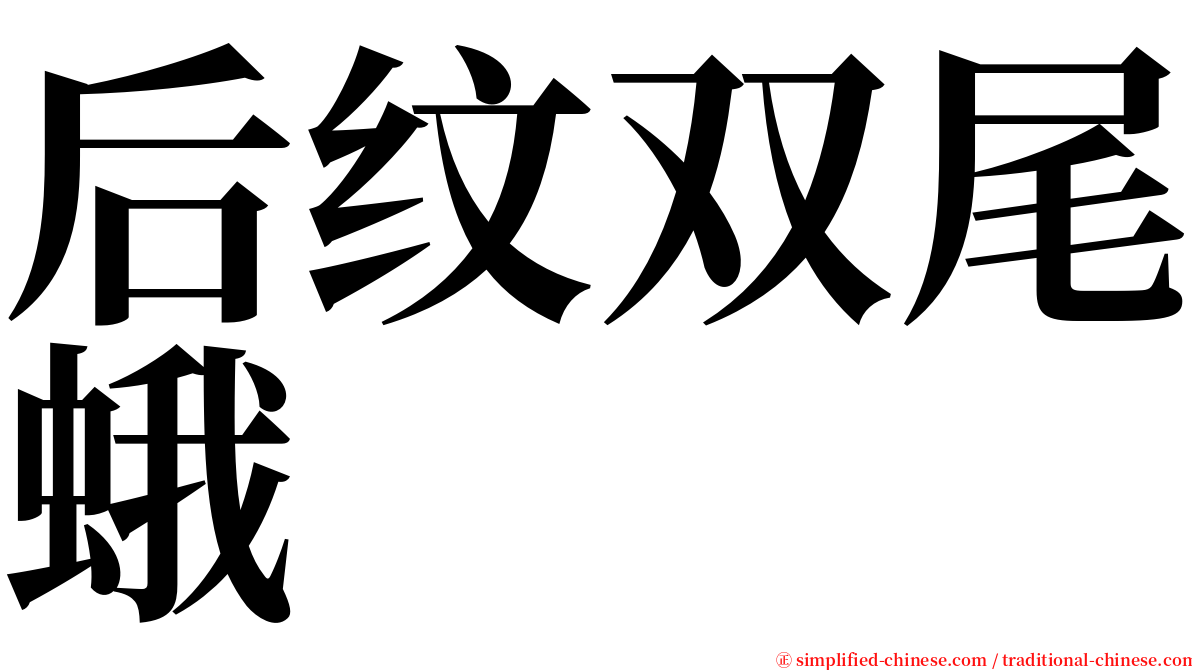 后纹双尾蛾 serif font