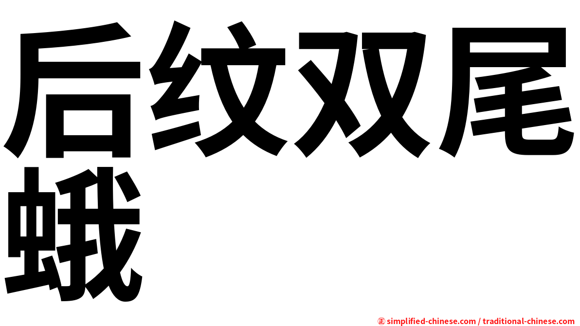后纹双尾蛾