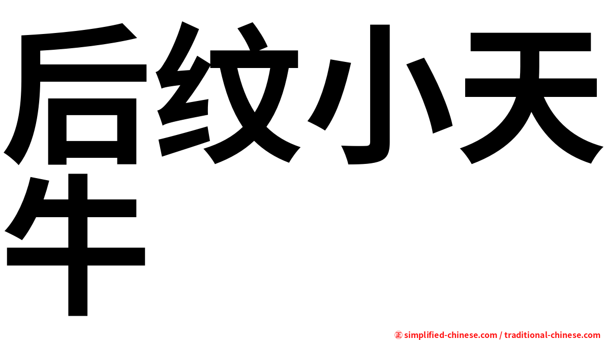 后纹小天牛