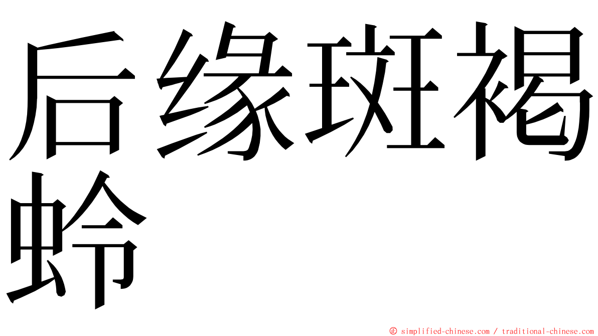 后缘斑褐蛉 ming font