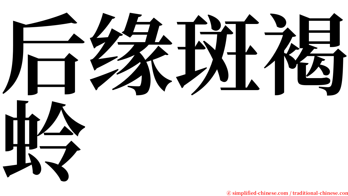 后缘斑褐蛉 serif font