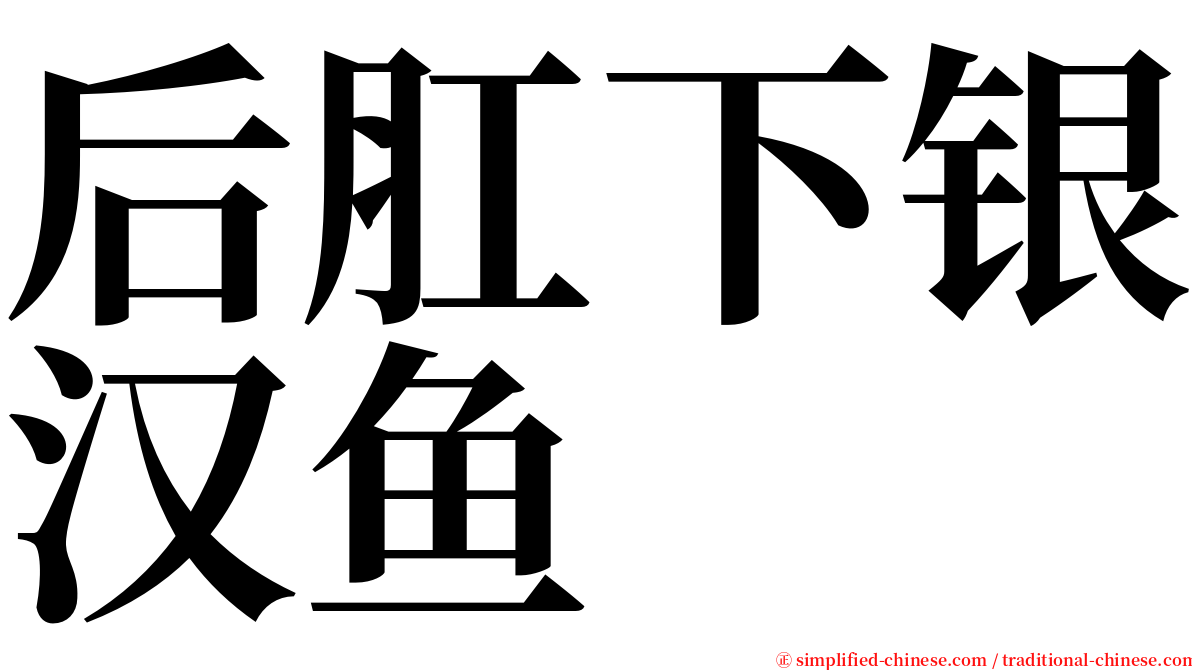 后肛下银汉鱼 serif font