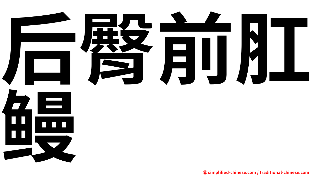 后臀前肛鳗