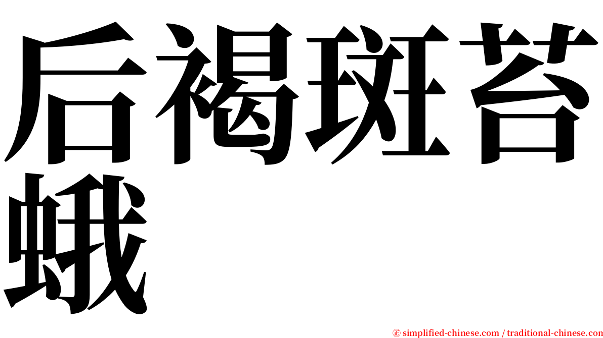 后褐斑苔蛾 serif font