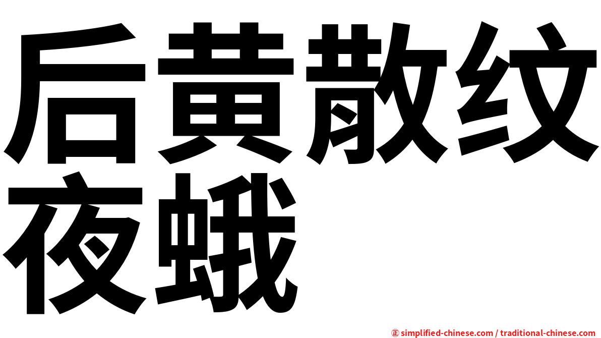 后黄散纹夜蛾