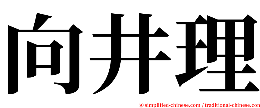 向井理 serif font