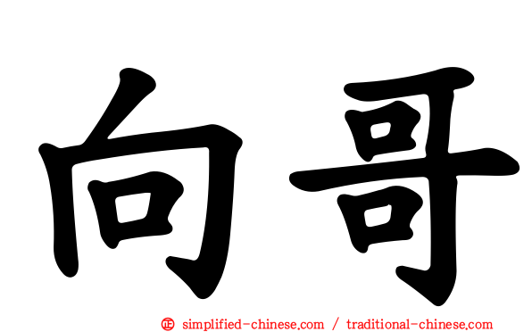 向哥