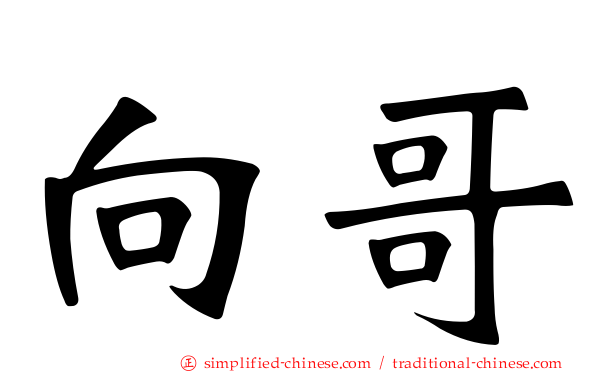 向哥