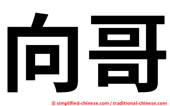 向哥