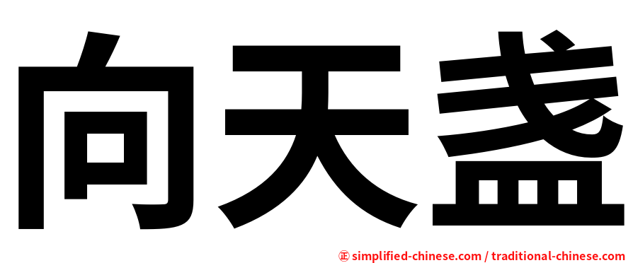 向天盏