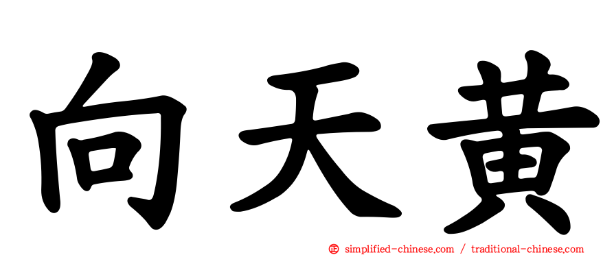 向天黄
