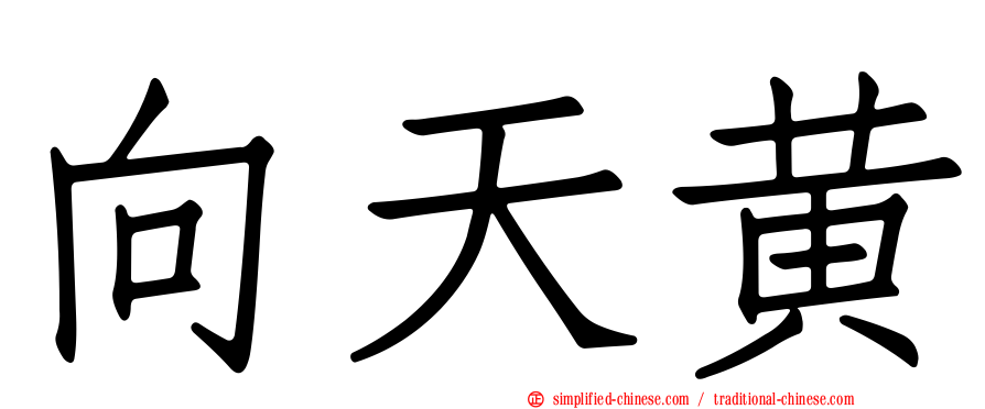 向天黄