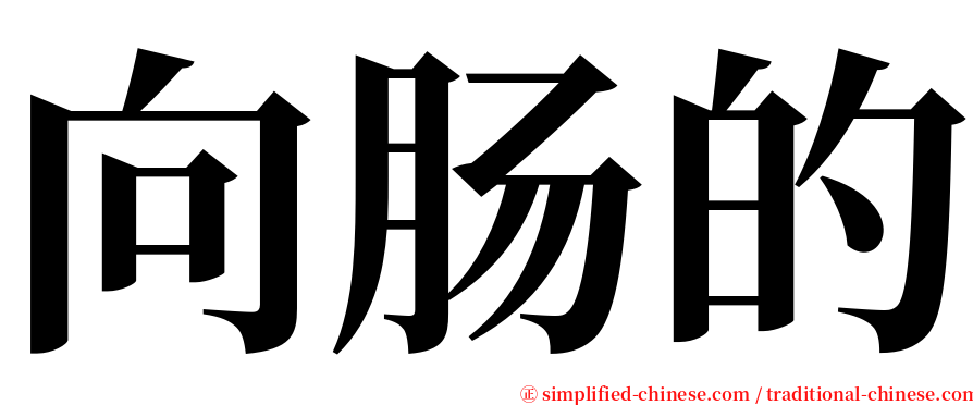 向肠的 serif font
