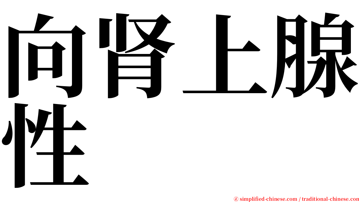 向肾上腺性 serif font