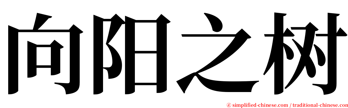 向阳之树 serif font
