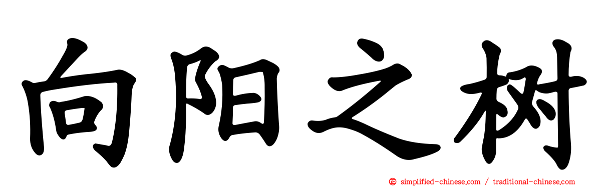 向阳之树