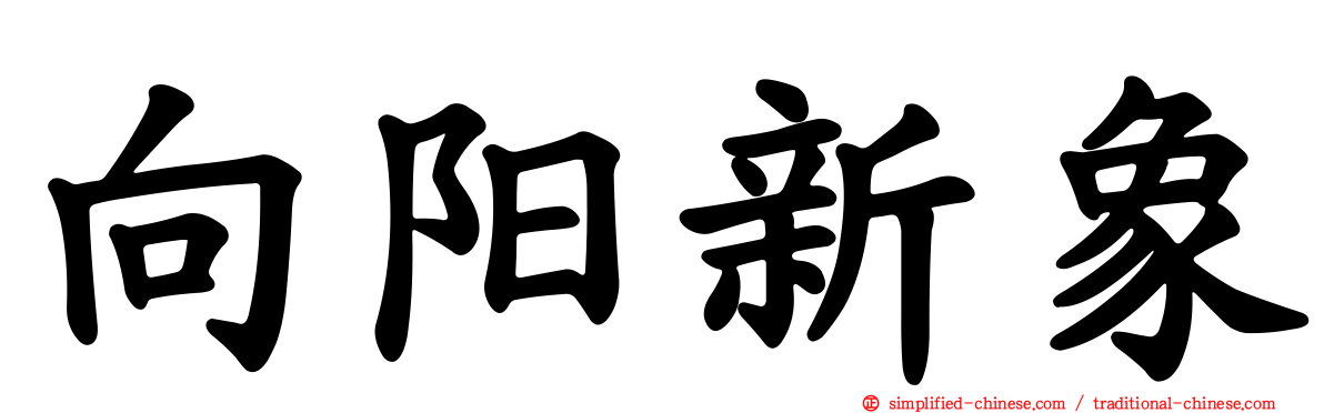 向阳新象