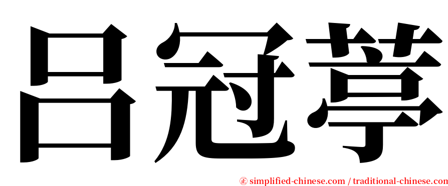 吕冠葶 serif font