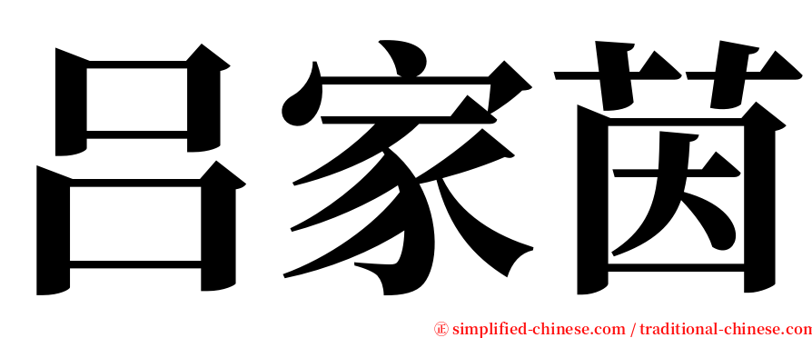 吕家茵 serif font