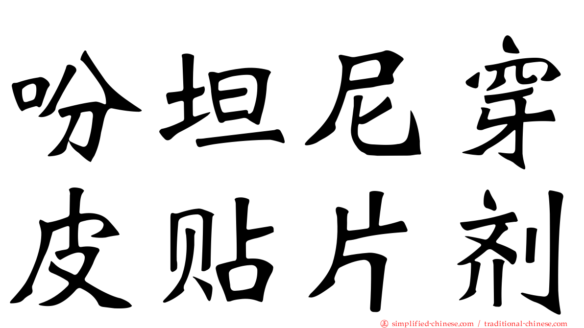 吩坦尼穿皮贴片剂