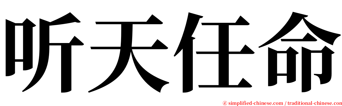 听天任命 serif font