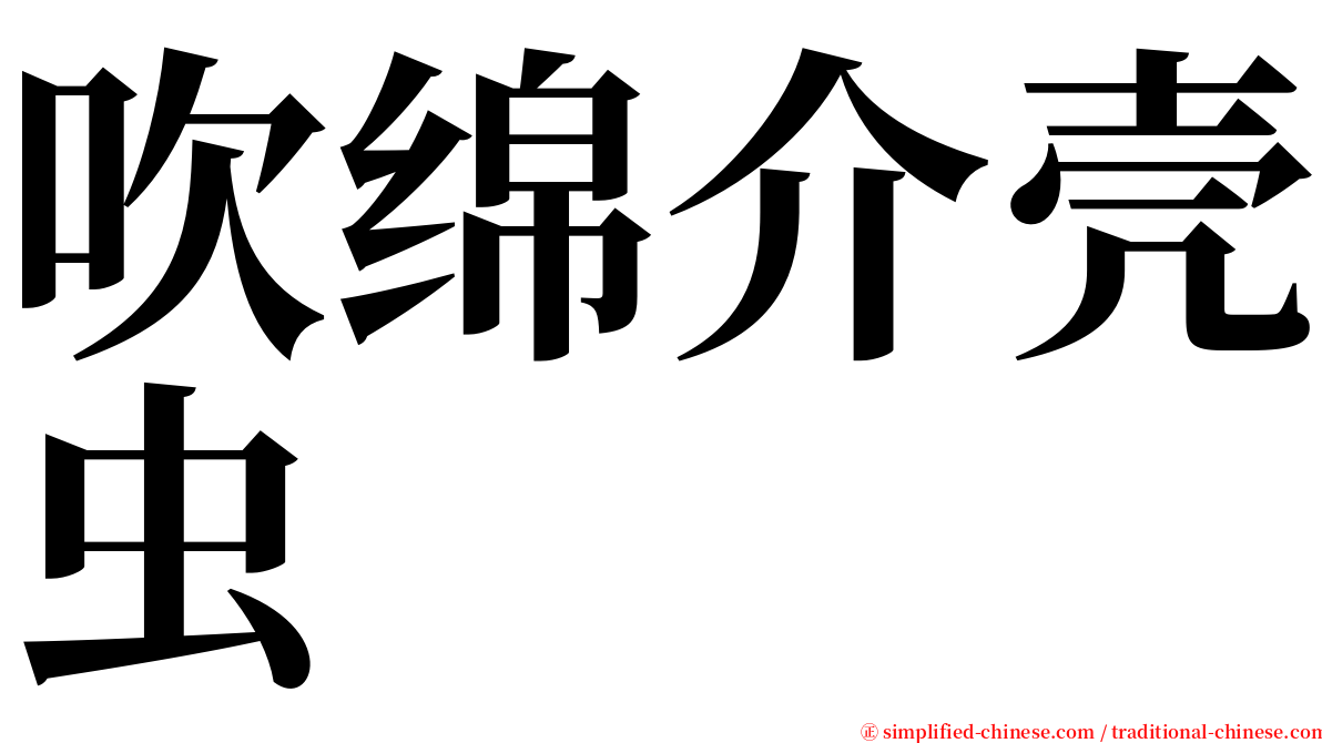 吹绵介壳虫 serif font