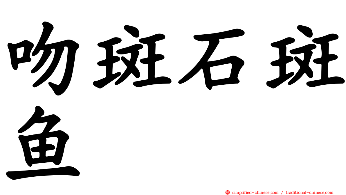 吻斑石斑鱼