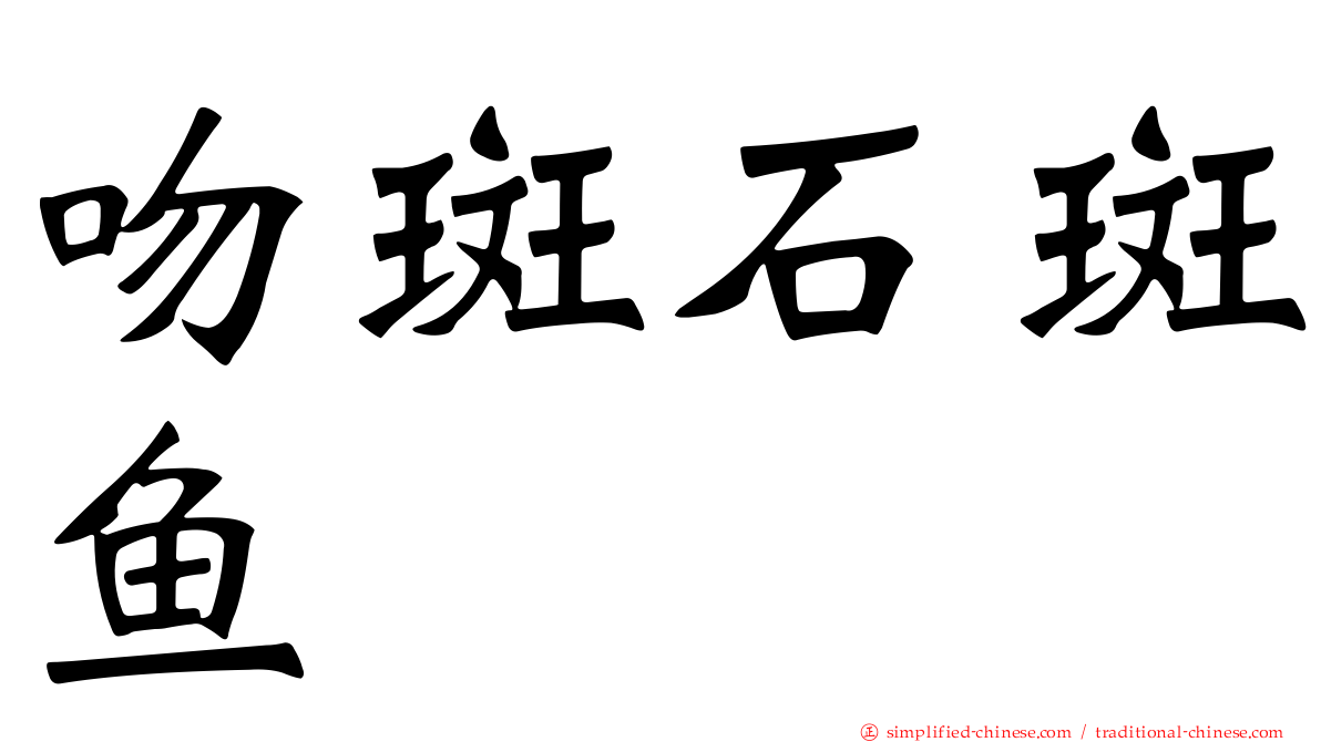 吻斑石斑鱼