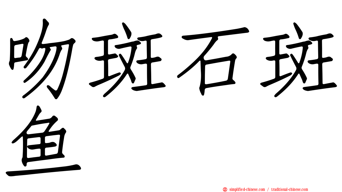 吻斑石斑鱼