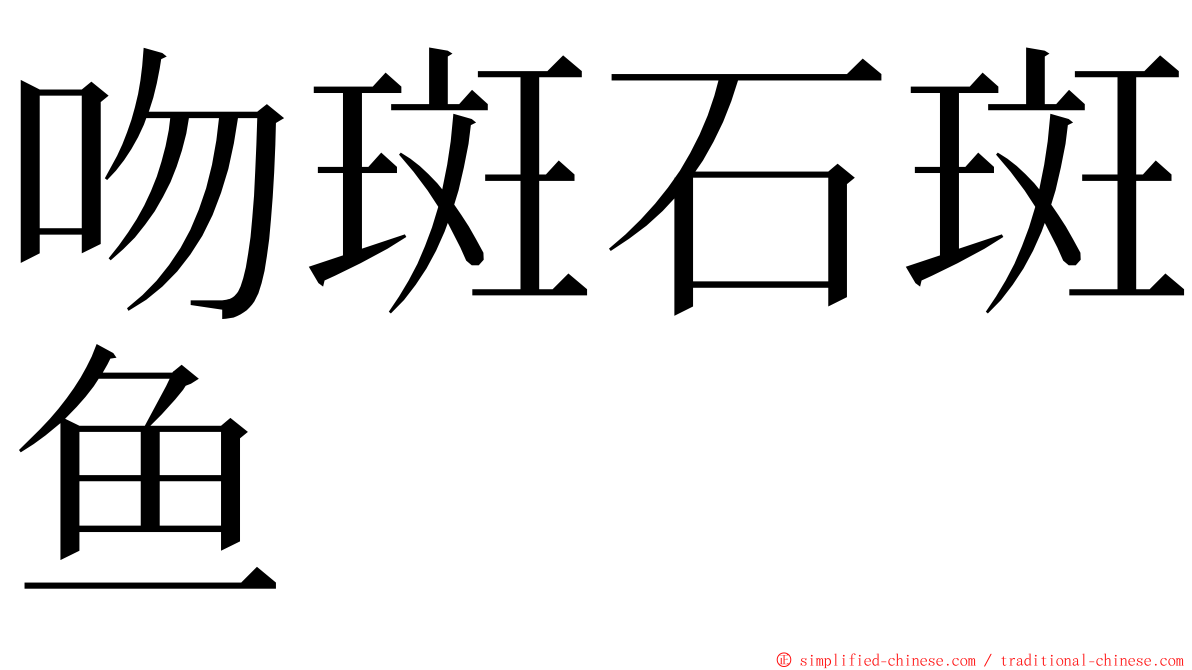 吻斑石斑鱼 ming font