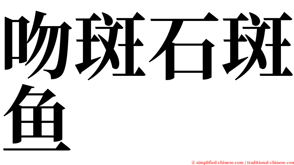 吻斑石斑鱼 serif font