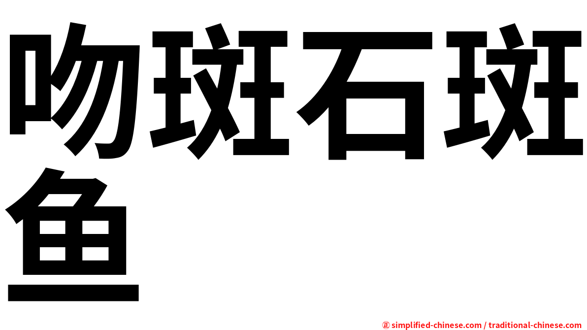 吻斑石斑鱼