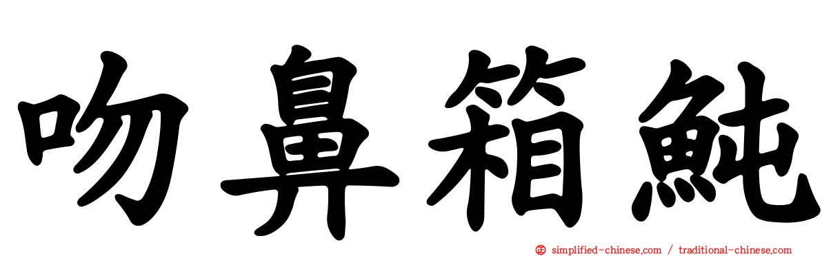 吻鼻箱鲀