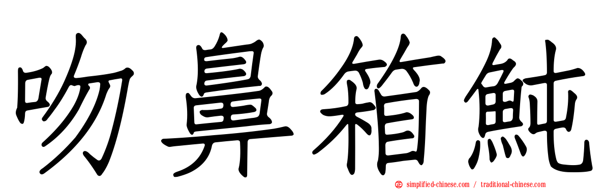 吻鼻箱鲀
