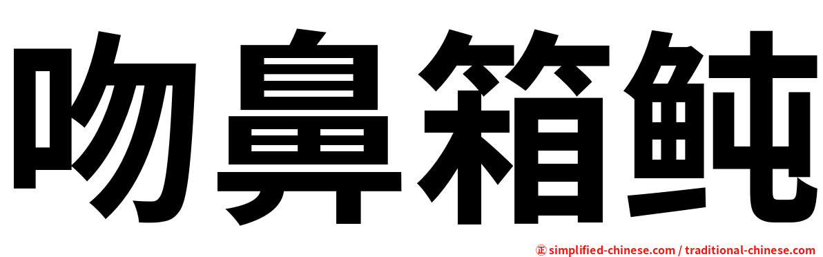 吻鼻箱鲀