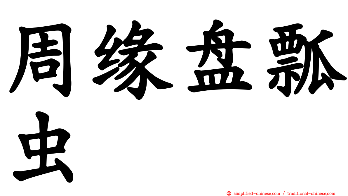 周缘盘瓢虫