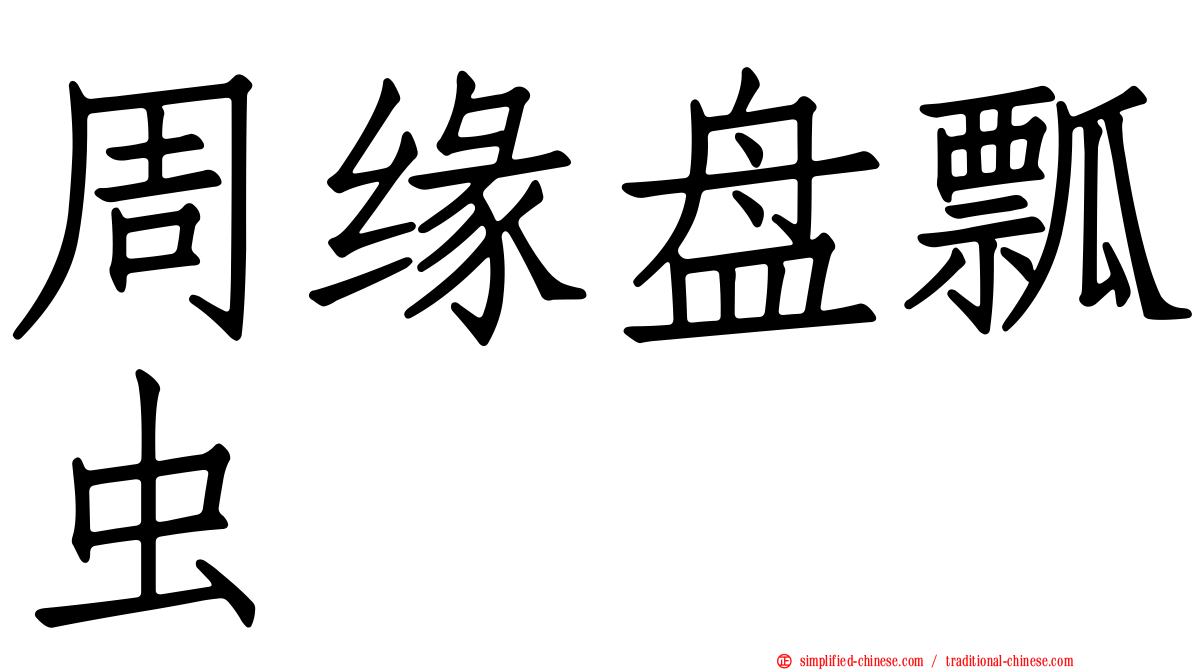 周缘盘瓢虫