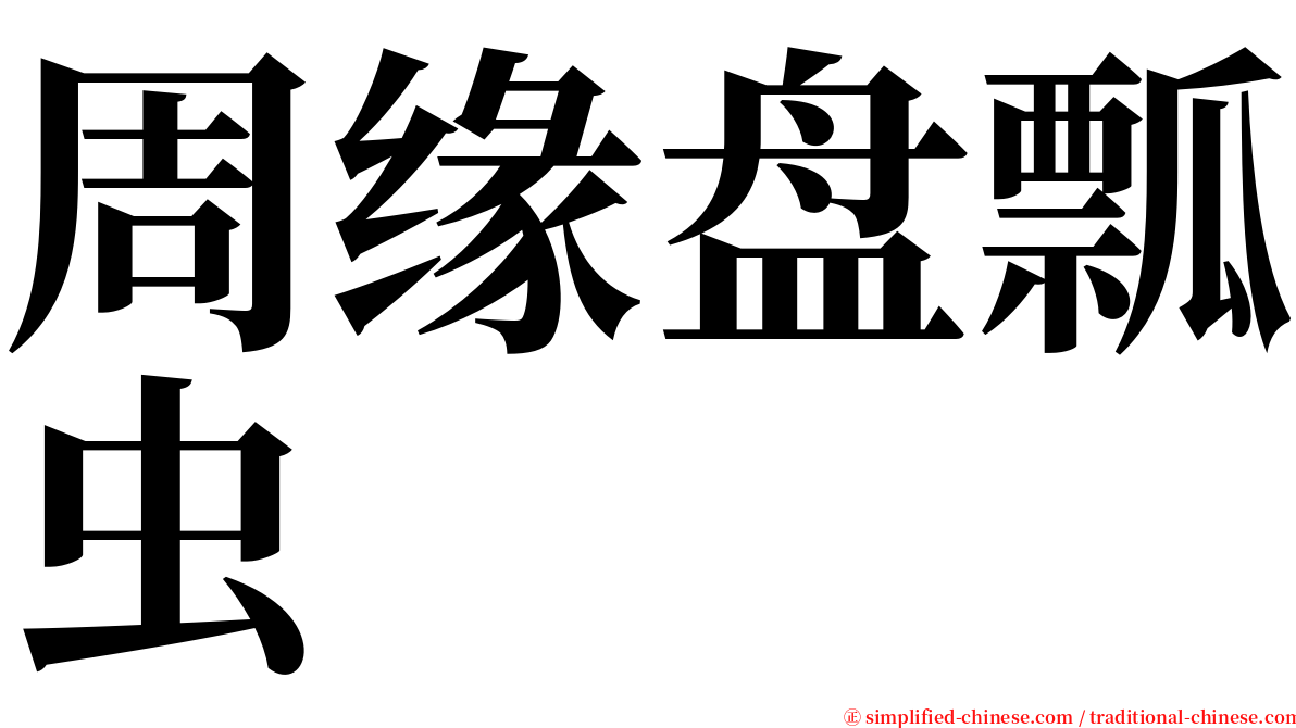 周缘盘瓢虫 serif font
