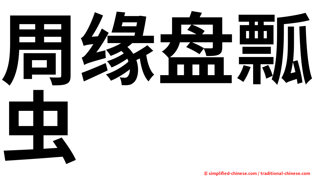 周缘盘瓢虫