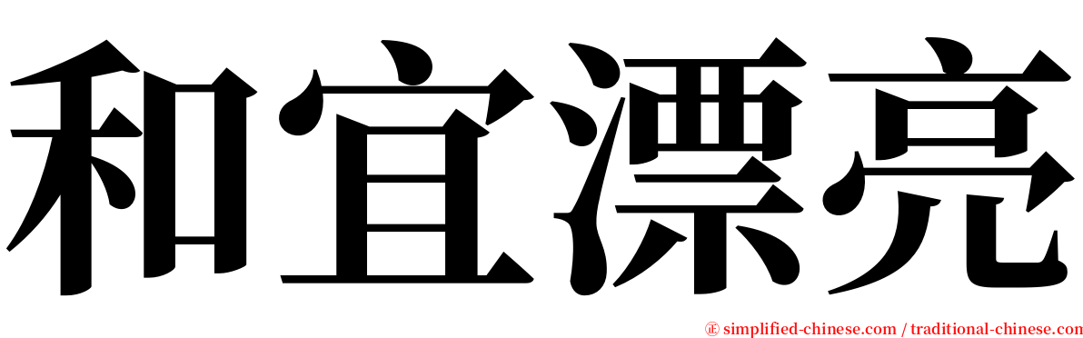 和宜漂亮 serif font