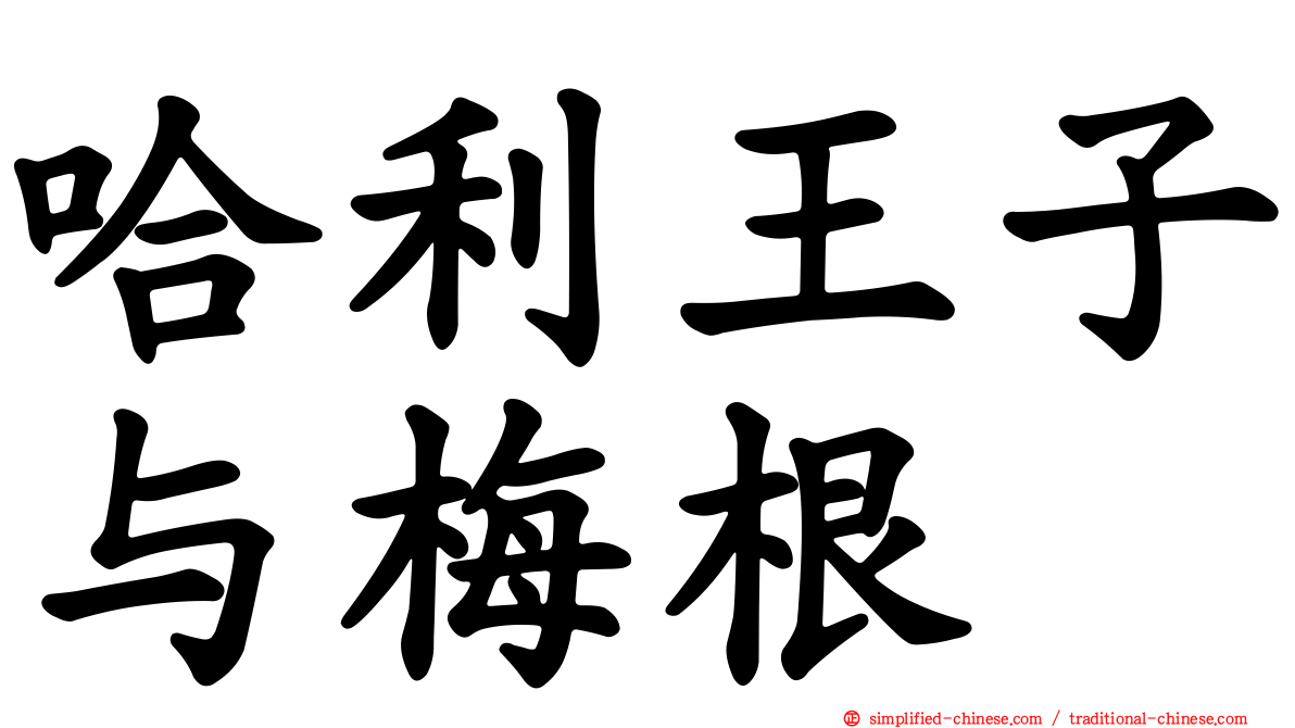 哈利王子与梅根