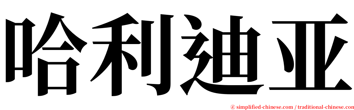 哈利迪亚 serif font