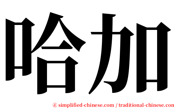哈加 serif font
