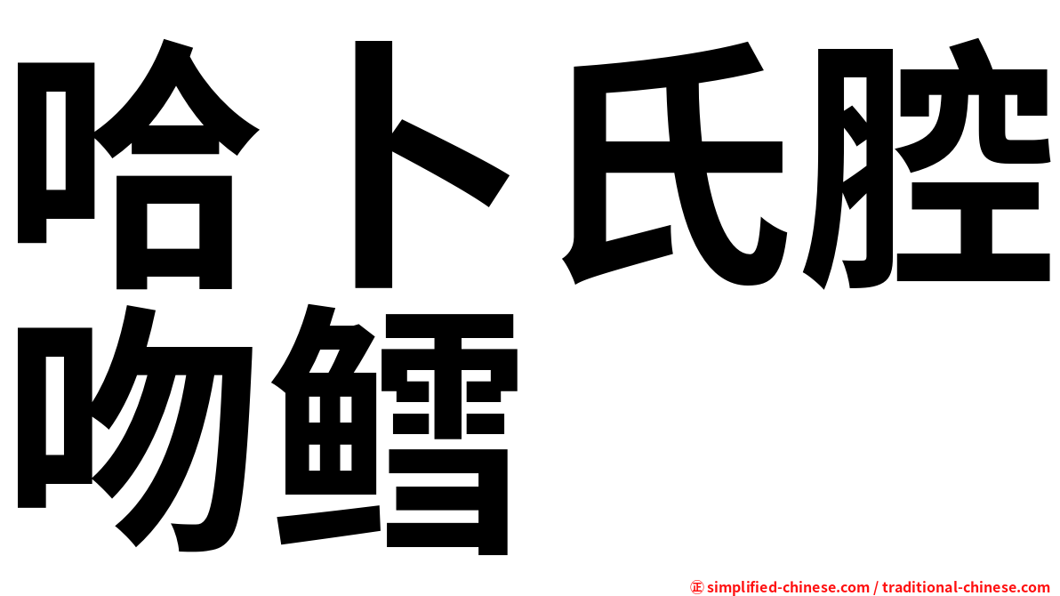 哈卜氏腔吻鳕