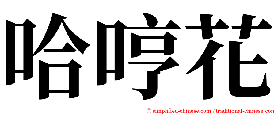 哈哼花 serif font