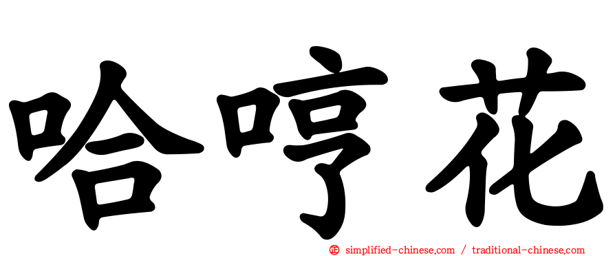 哈哼花