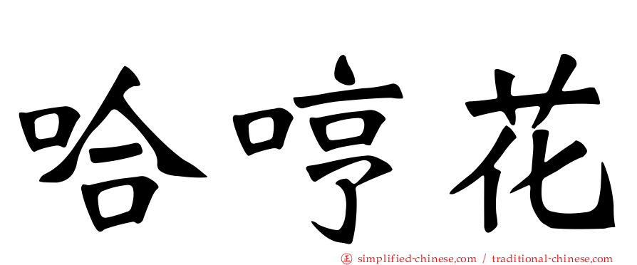 哈哼花