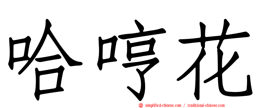 哈哼花