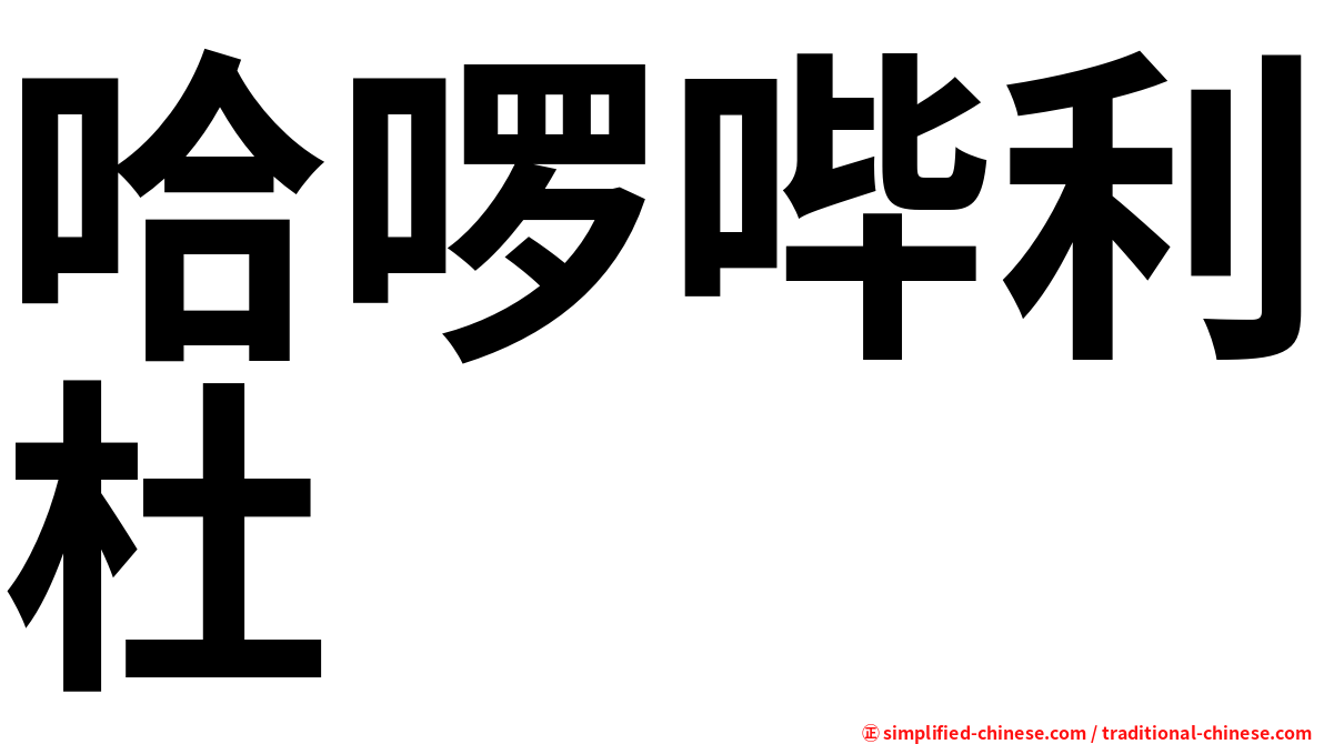 哈啰哔利杜